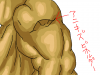 アニキズビホルダー.PNG
